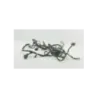 Faisceau electrique HONDA CBR 1000 F 1989 - 1992