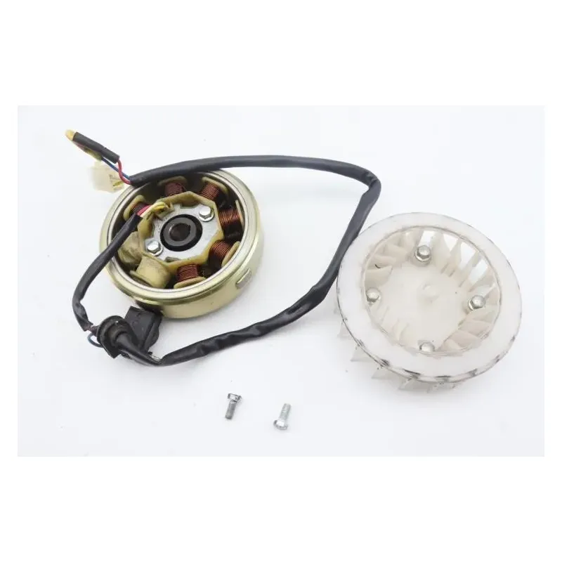 Rotor volant moteur EUROCKA GTR 50 2012 - 2015