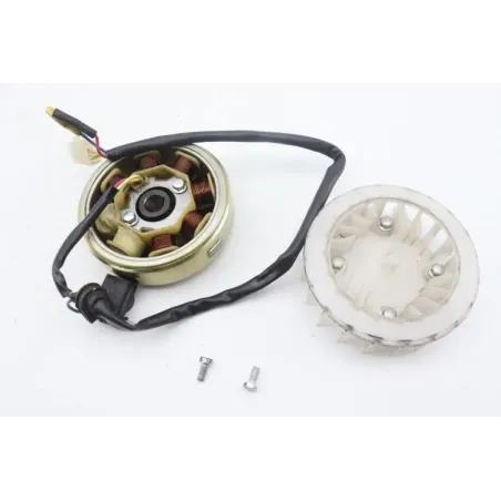 Rotor volant moteur EUROCKA GTR 50 2012 - 2015