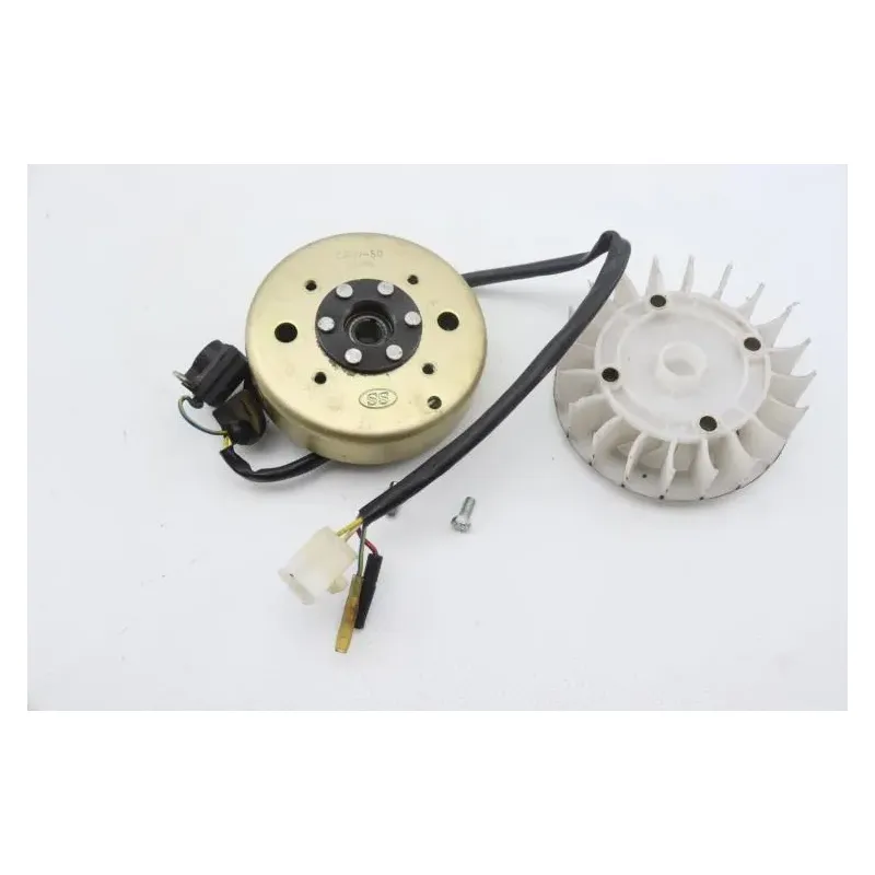 Rotor volant moteur EUROCKA GTR 50 2012 - 2015