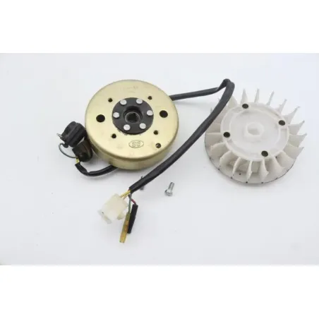 Rotor volant moteur EUROCKA GTR 50 2012 - 2015