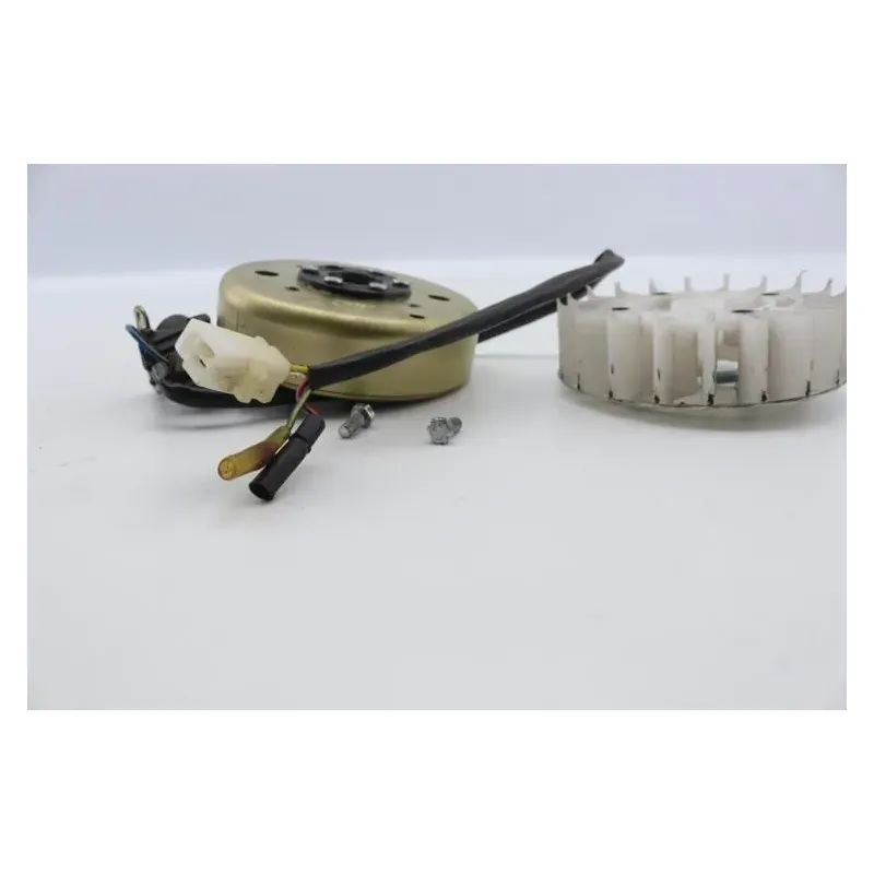 Rotor volant moteur EUROCKA GTR 50 2012 - 2015