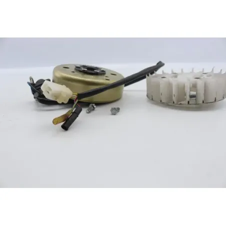 Rotor volant moteur EUROCKA GTR 50 2012 - 2015