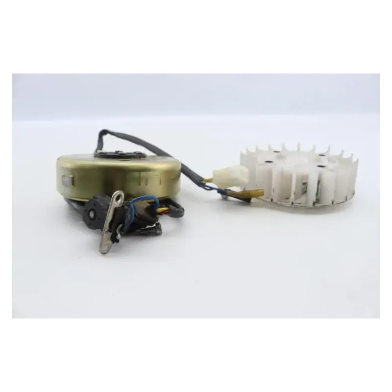 Rotor volant moteur EUROCKA GTR 50 2012 - 2015