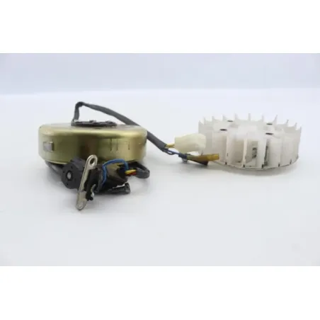 Rotor volant moteur EUROCKA GTR 50 2012 - 2015