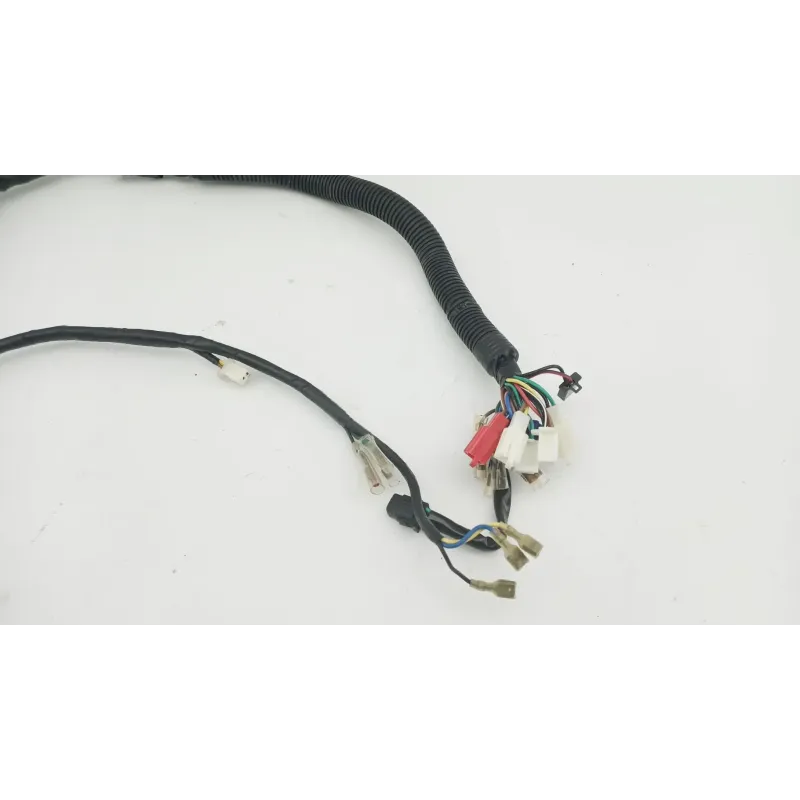 Faisceau electrique YAMAHA YBR 125 2005 - 2006