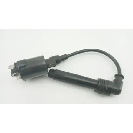 Bobine allumage KAWASAKI NINJA 125 2019 - 2020