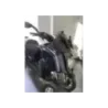 RIDE CHINOIS 3R