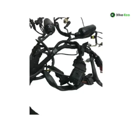 Faisceau electrique DUCATI HYPERMOTARD 1100 2008 S