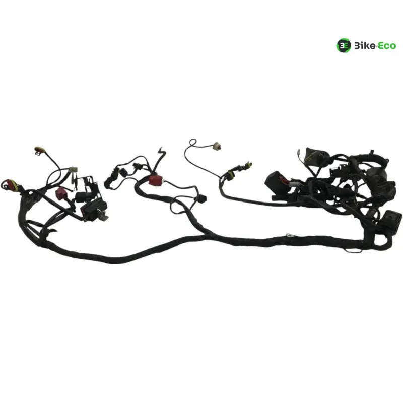 Faisceau electrique DUCATI HYPERMOTARD 1100 2008 S