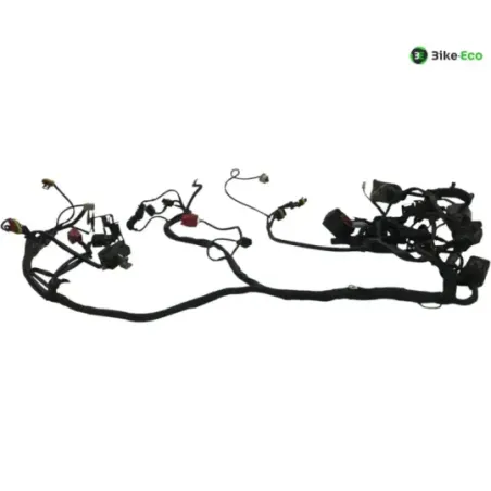 Faisceau electrique DUCATI HYPERMOTARD 1100 2008 S