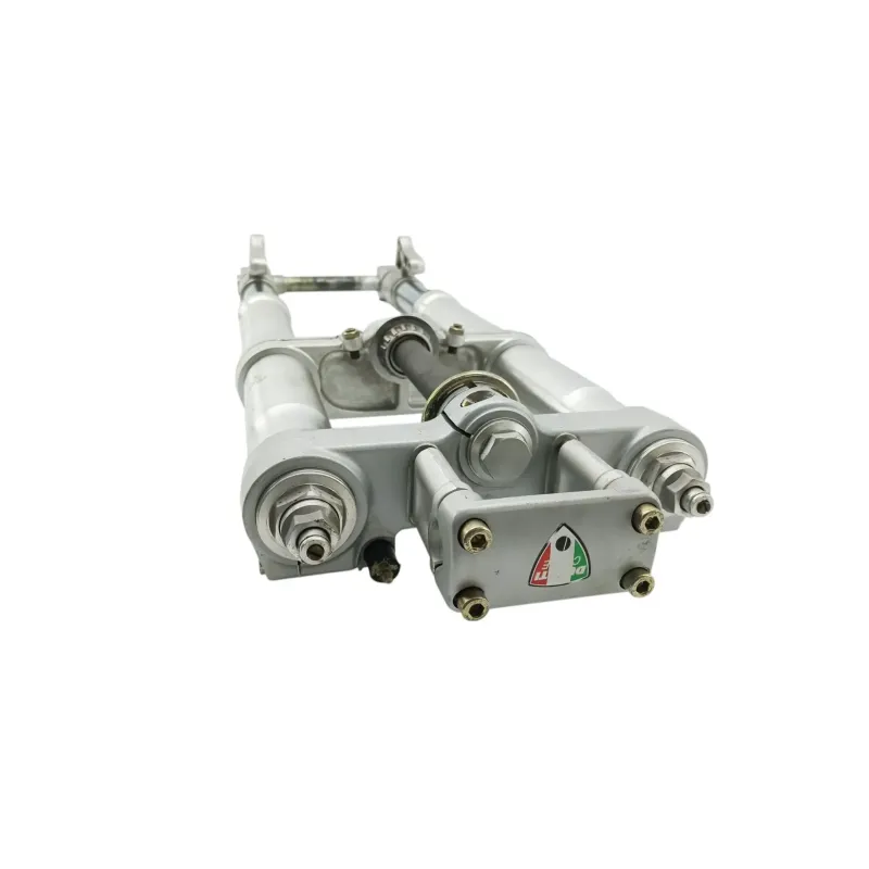 Fourche complete DUCATI MONSTER 900 2001 - 2002