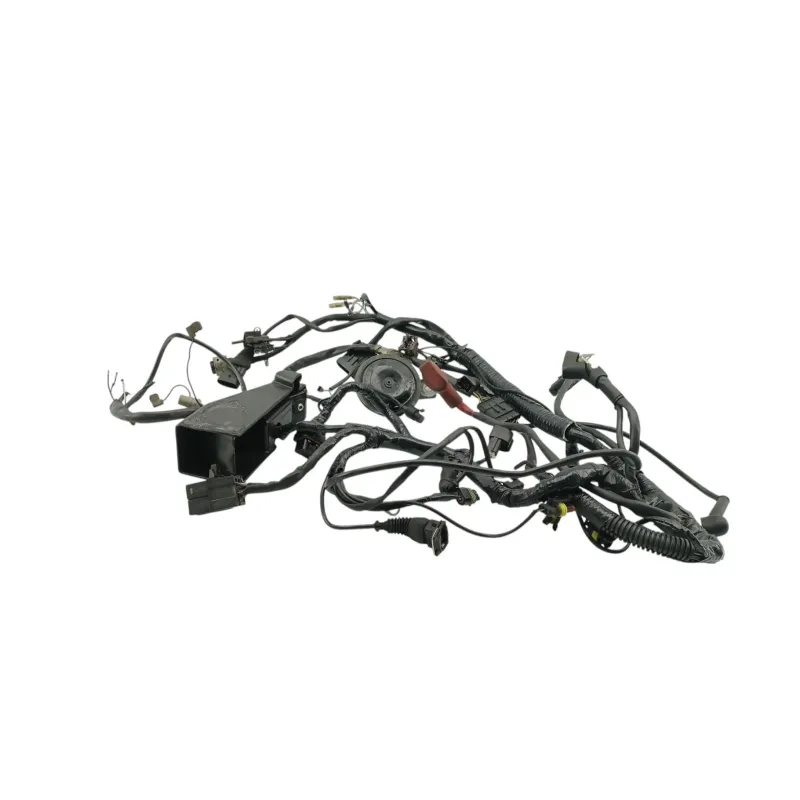 Faisceau electrique DUCATI MONSTER 900 2001 - 2002