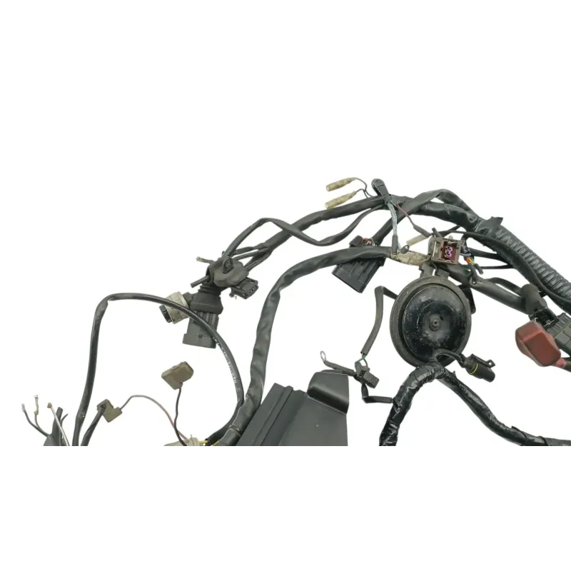 Faisceau electrique DUCATI MONSTER 900 2001 - 2002