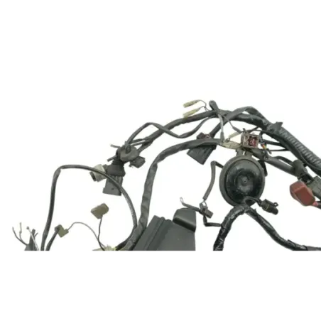Faisceau electrique DUCATI MONSTER 900 2001 - 2002
