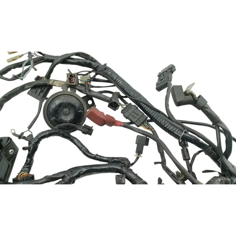 Faisceau electrique DUCATI MONSTER 900 2001 - 2002