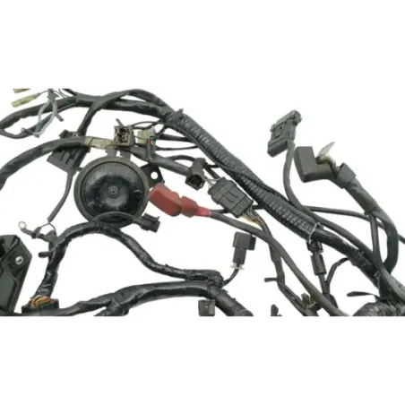 Faisceau electrique DUCATI MONSTER 900 2001 - 2002