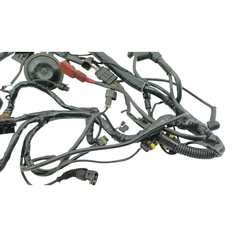 Faisceau electrique DUCATI MONSTER 900 2001 - 2002