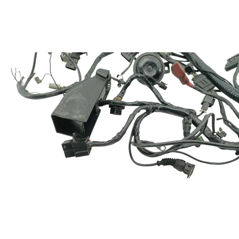 Faisceau electrique DUCATI MONSTER 900 2001 - 2002