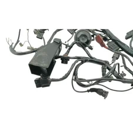 Faisceau electrique DUCATI MONSTER 900 2001 - 2002