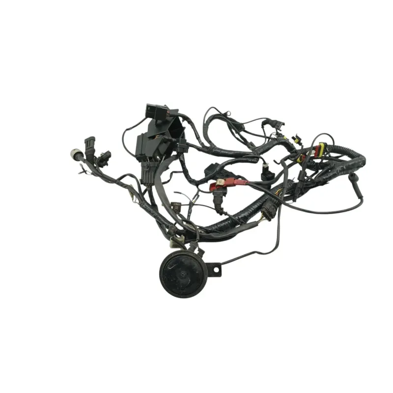 Faisceau electrique DUCATI MONSTER 900 2001 - 2002