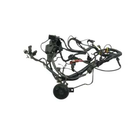 Faisceau electrique DUCATI MONSTER 900 2001 - 2002