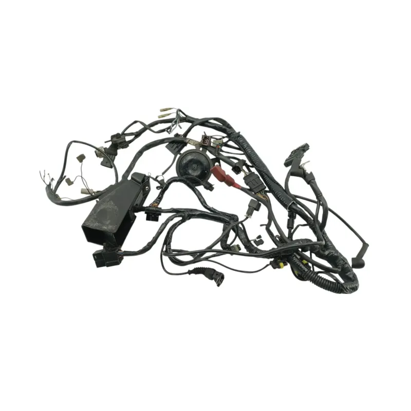 Faisceau electrique DUCATI MONSTER 900 2001 - 2002