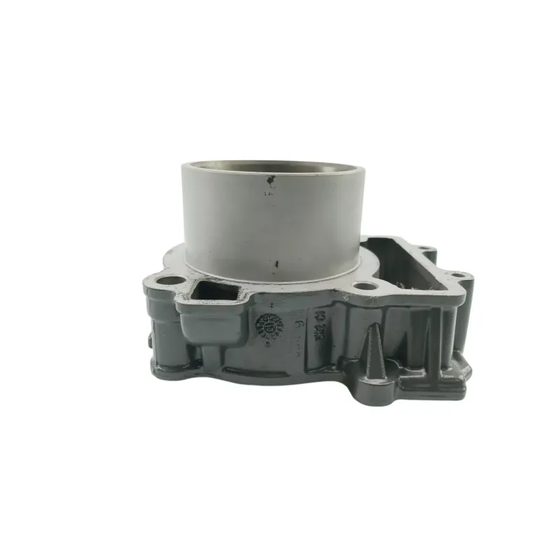 Cylindre KTM RC 390 ABS 2022 - 2024