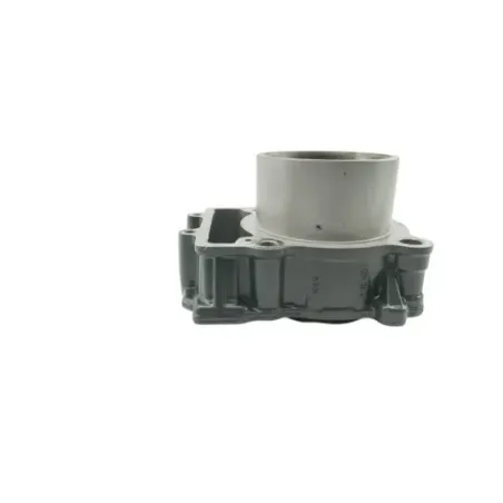 Cylindre KTM RC 390 ABS 2022 - 2024