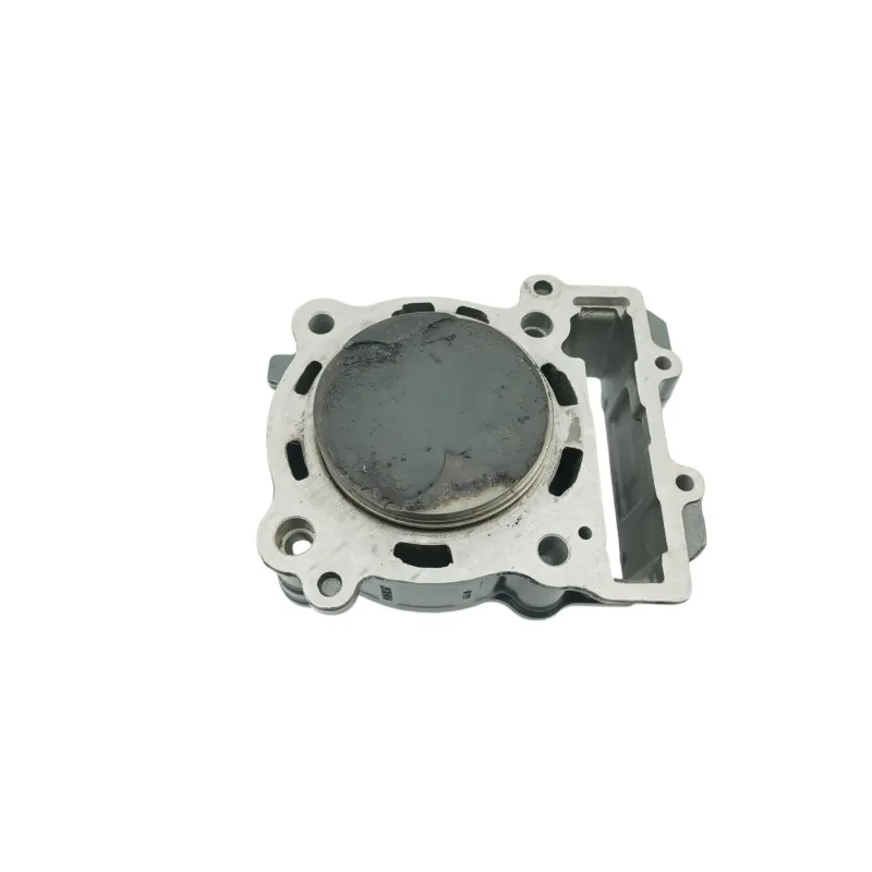 Cylindre KTM RC 390 ABS 2022 - 2024