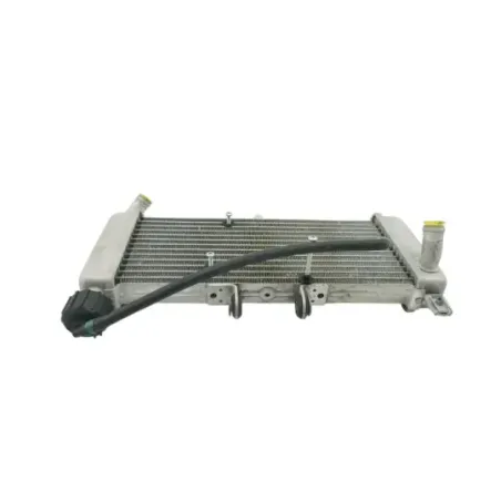Radiateur eau APRILIA RS 125 ABS 2021 - 2025
