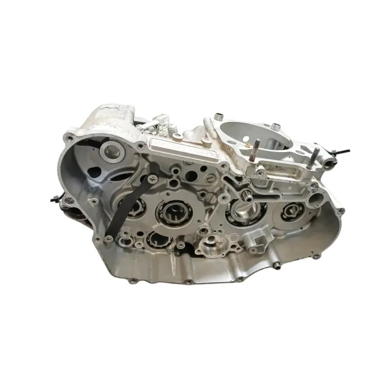 Carter moteur SUZUKI DRZ 400 S 2005 - 2009