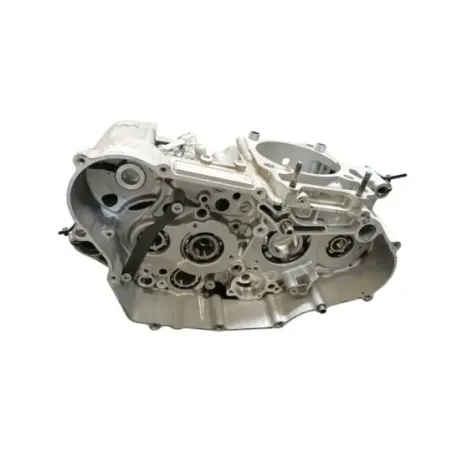Carter moteur SUZUKI DRZ 400 S 2005 - 2009