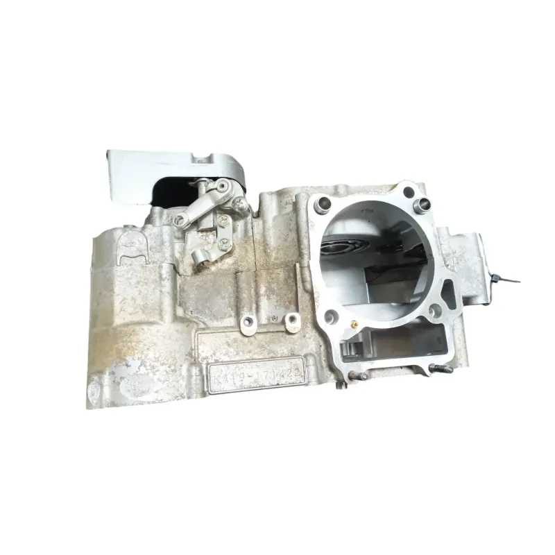 Carter moteur SUZUKI DRZ 400 S 2005 - 2009