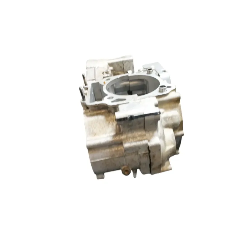Carter moteur SUZUKI DRZ 400 S 2005 - 2009