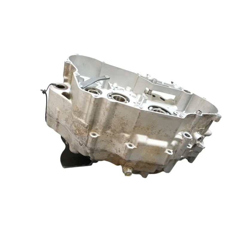 Carter moteur SUZUKI DRZ 400 S 2005 - 2009