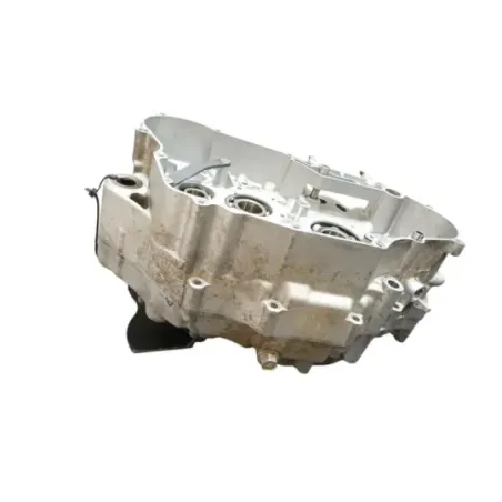 Carter moteur SUZUKI DRZ 400 S 2005 - 2009