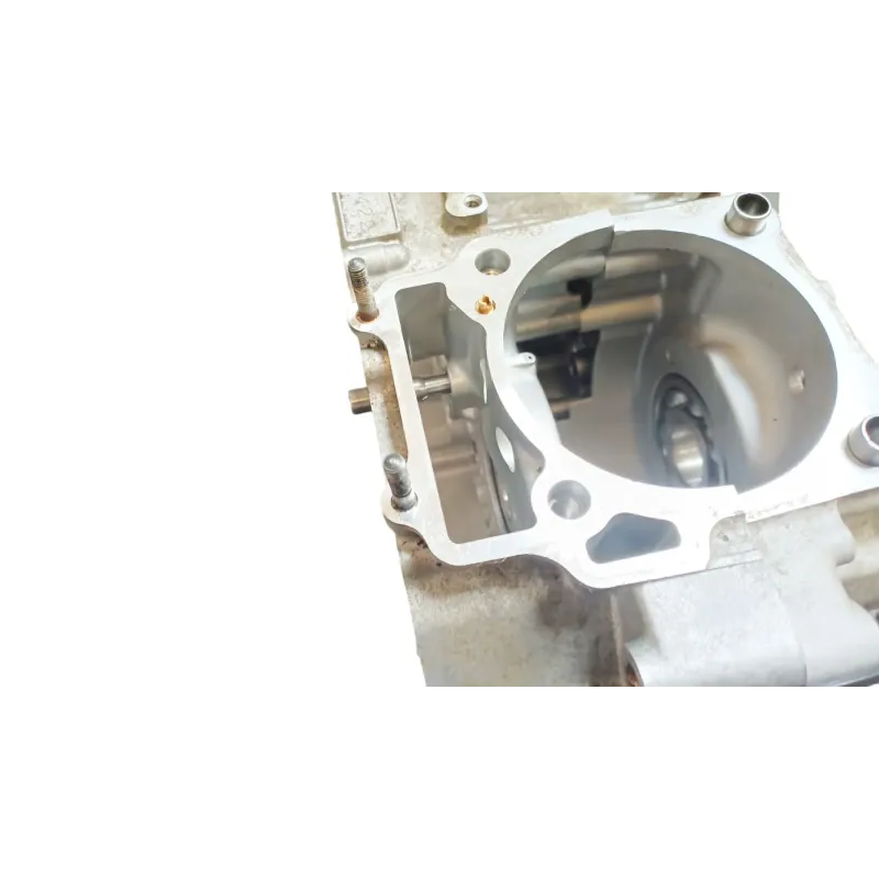 Carter moteur SUZUKI DRZ 400 S 2005 - 2009