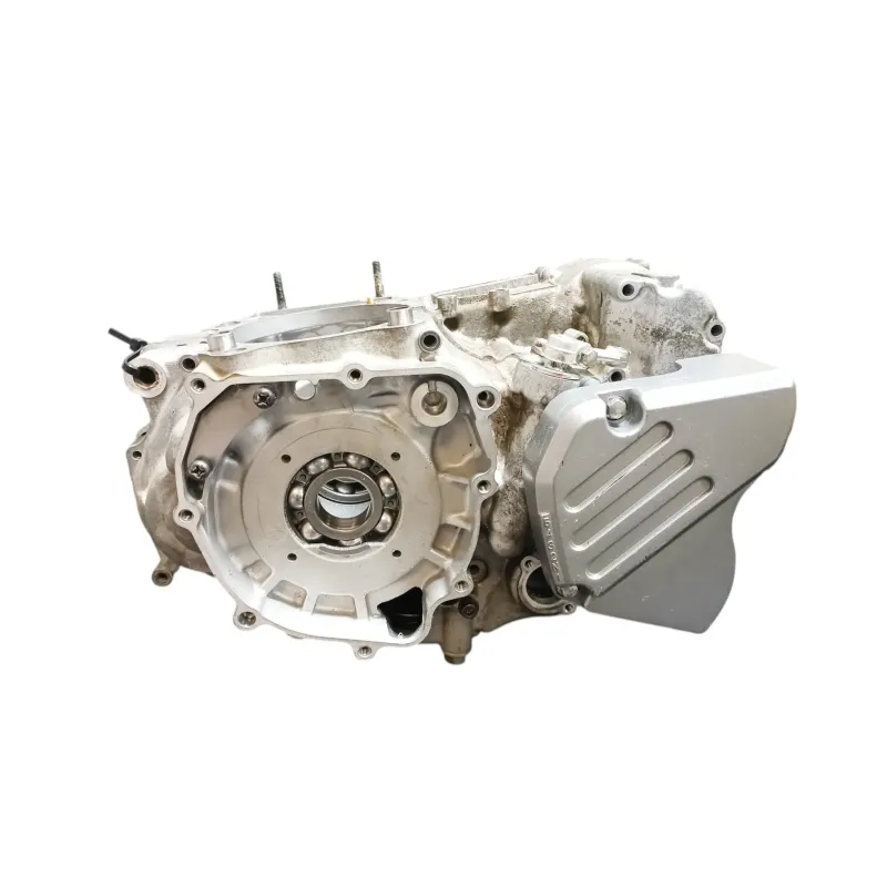 Carter moteur SUZUKI DRZ 400 S 2005 - 2009