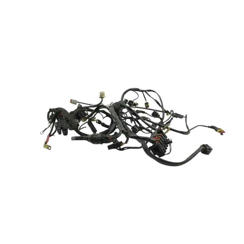 Faisceau electrique DUCATI MULTISTRADA 1000 DS 2003 - 2006