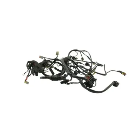 Faisceau electrique DUCATI MULTISTRADA 1000 DS 2003 - 2006