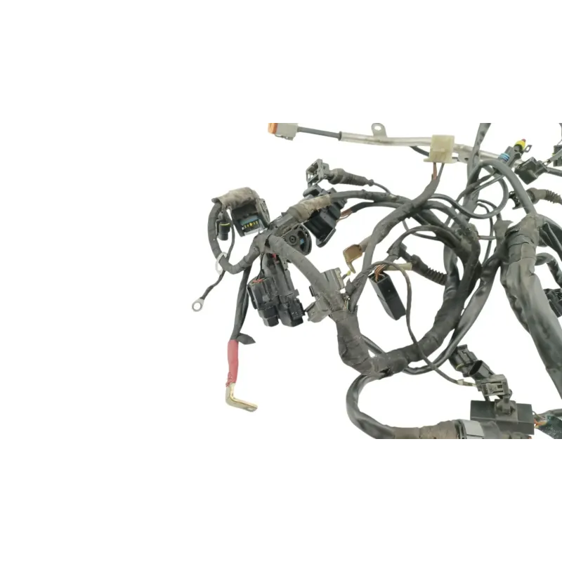 Faisceau electrique DUCATI MULTISTRADA 1000 DS 2003 - 2006