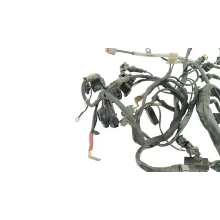 Faisceau electrique DUCATI MULTISTRADA 1000 DS 2003 - 2006