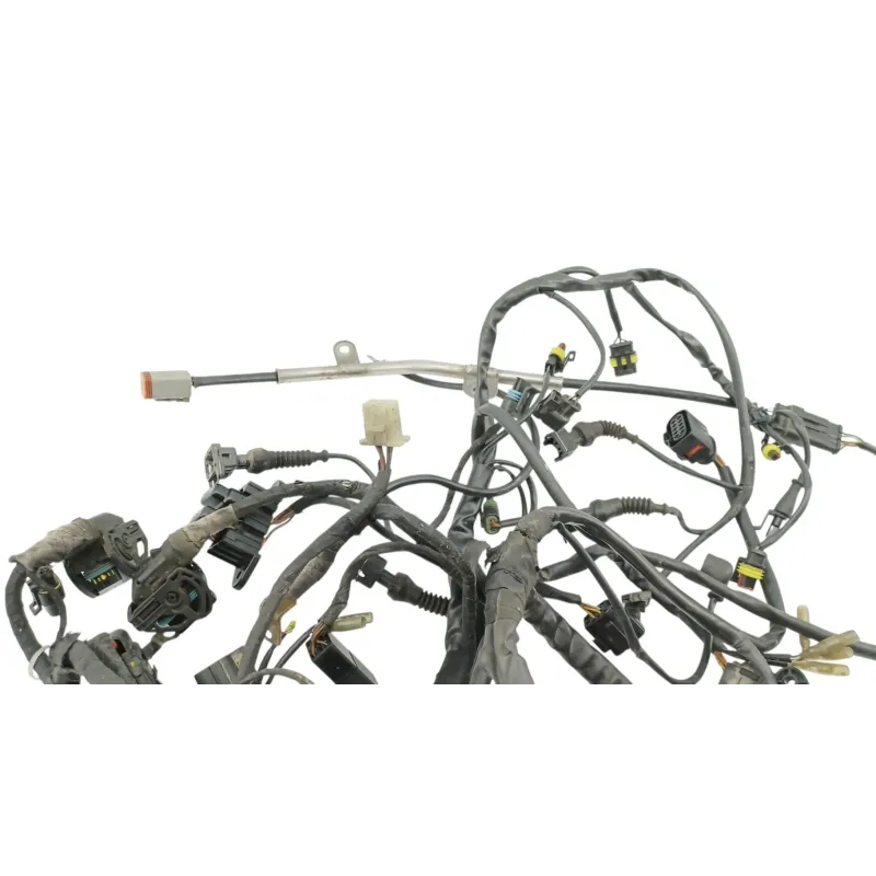 Faisceau electrique DUCATI MULTISTRADA 1000 DS 2003 - 2006