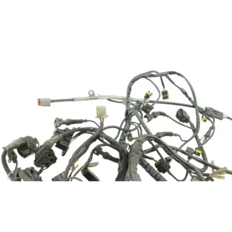 Faisceau electrique DUCATI MULTISTRADA 1000 DS 2003 - 2006