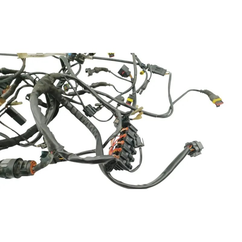 Faisceau electrique DUCATI MULTISTRADA 1000 DS 2003 - 2006
