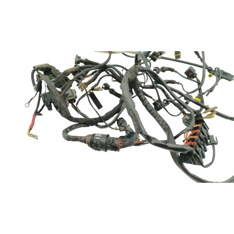 Faisceau electrique DUCATI MULTISTRADA 1000 DS 2003 - 2006