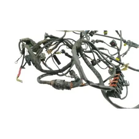 Faisceau electrique DUCATI MULTISTRADA 1000 DS 2003 - 2006