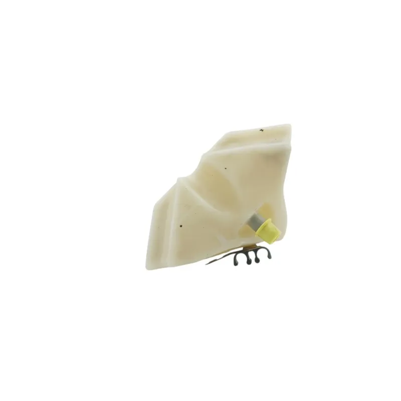 Vase expansion MV AGUSTA BRUTALE 910 S 2005 - 2008