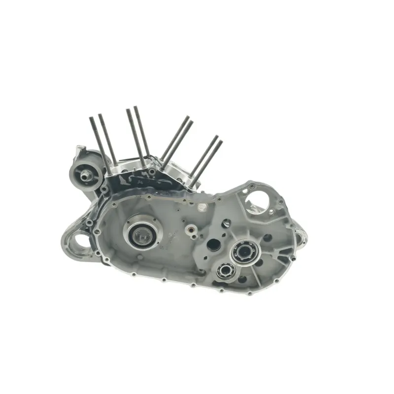 Carter moteur HARLEY DAVIDSON XL 1200 SPORTSTER CUSTOM 2004 - 2006